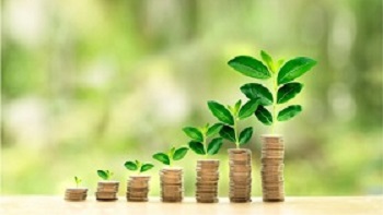 Anand Asset Manager | Best AI Trading Platform